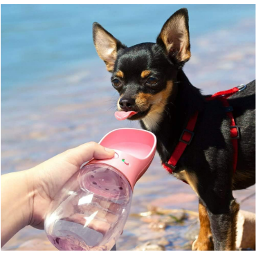 Taşınabilir Köpek Su Matarası