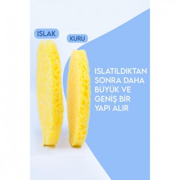 2'li Cilt Temizleme Süngeri Seti